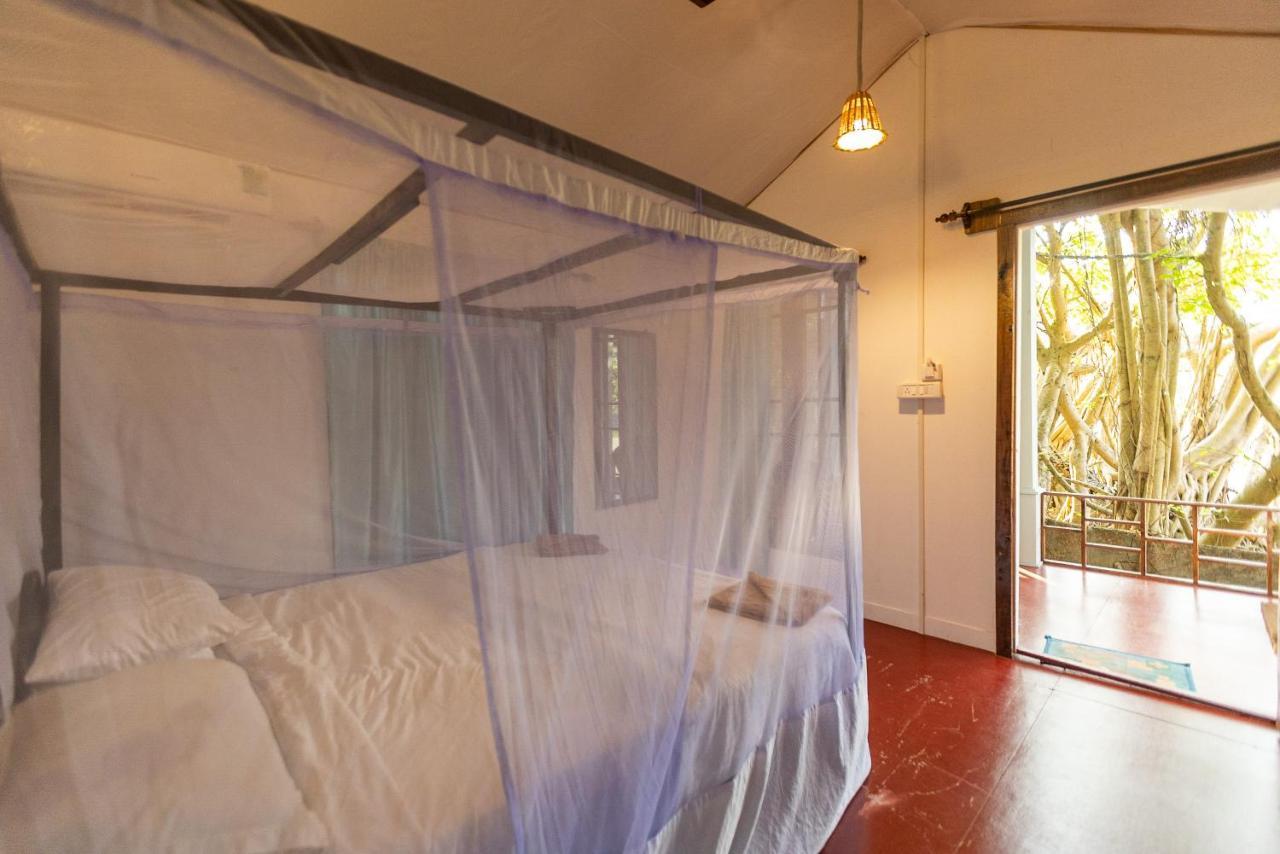 Dreamcatcher Unique Retreat Yoga & Spa Bãi biển Bãi biển Palolem Ngoại thất bức ảnh